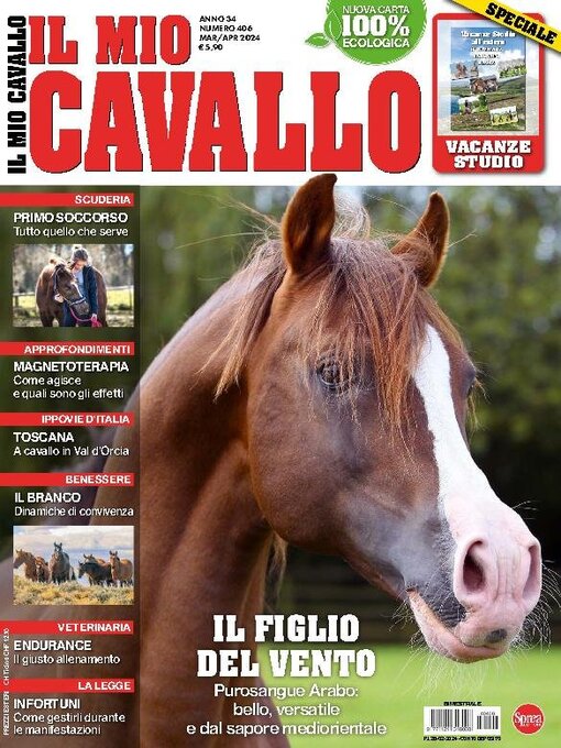 Title details for Il mio Cavallo by Sprea S.p.A. - Available